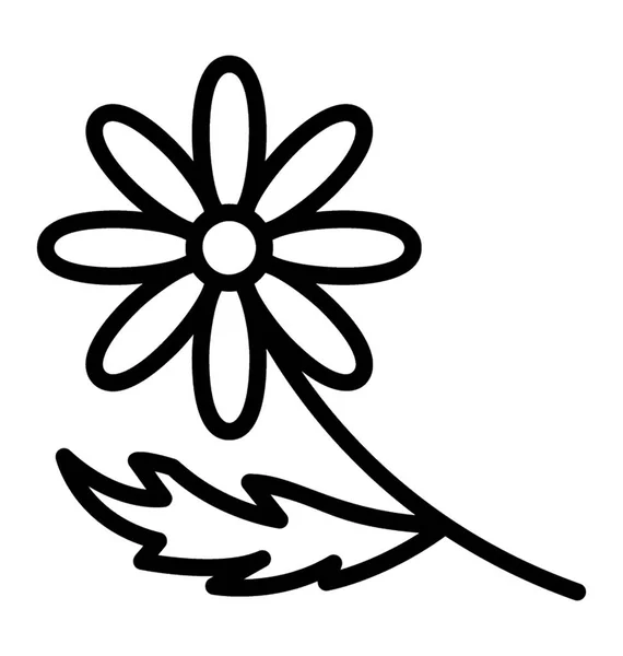 Icon Design Calendula Flower — Stock Vector