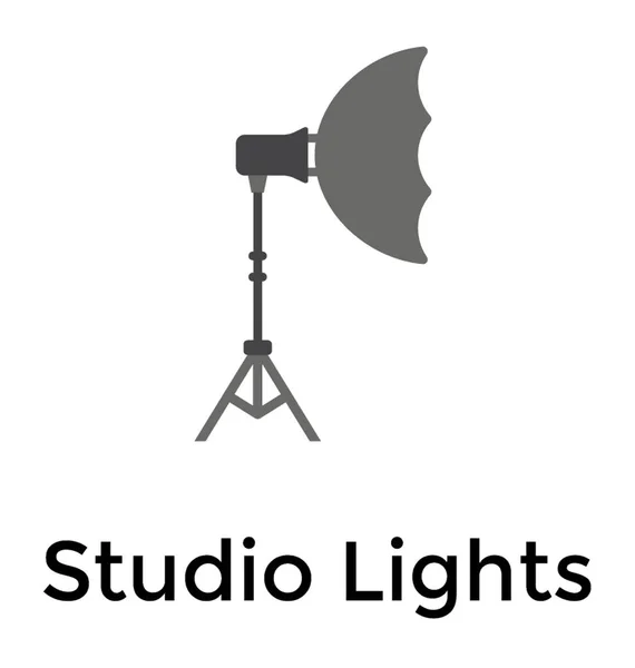 Una Lampada Studio Servizi Fotografici Fotografici — Vettoriale Stock