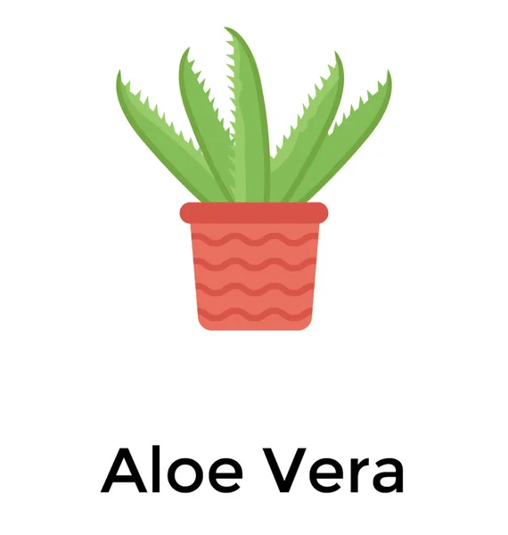 Aloe Vera Icono Plano — Vector de stock