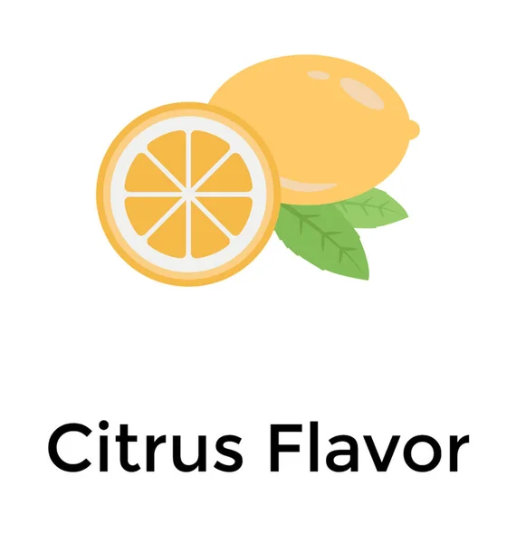 Citrus Flavour Best Aromatherapy — Stock Vector