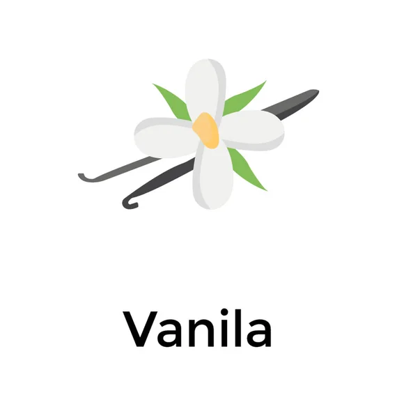 Flor Vainilla Plano Icono Diseño — Vector de stock