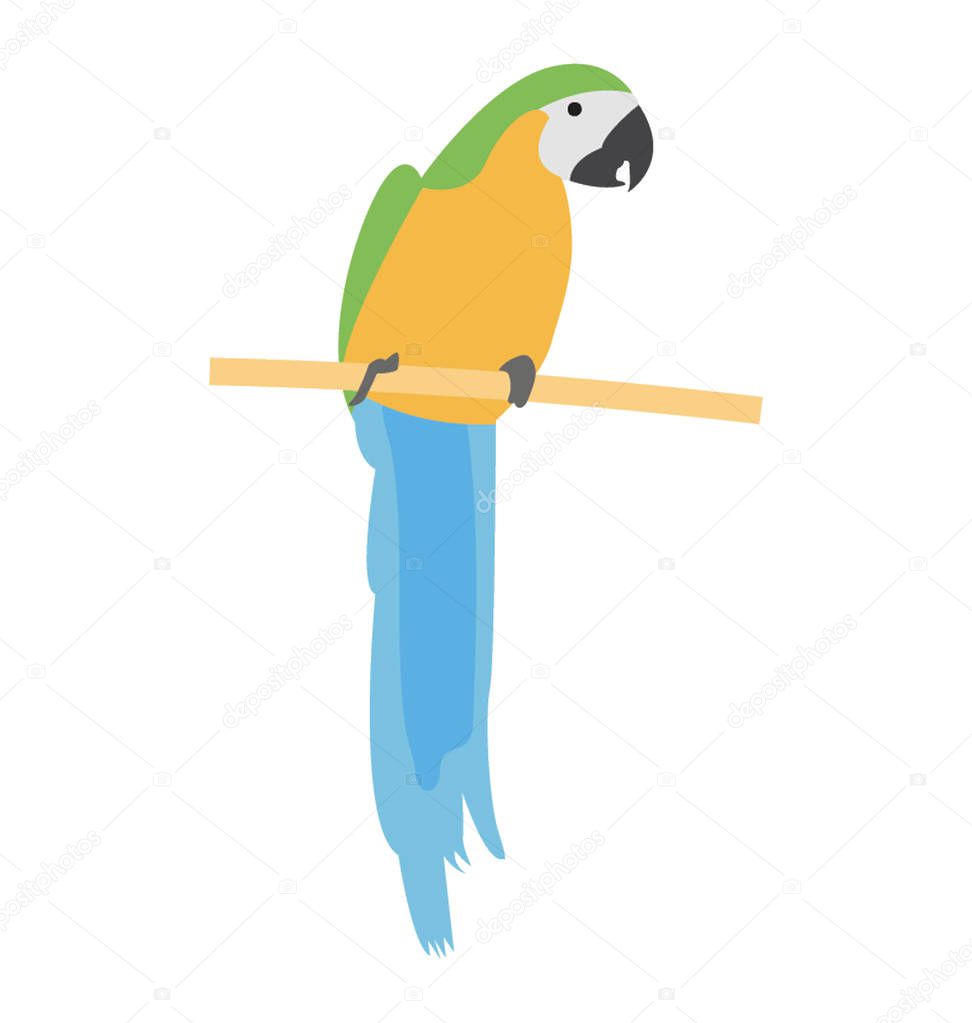 Flat vector icon of parrot.