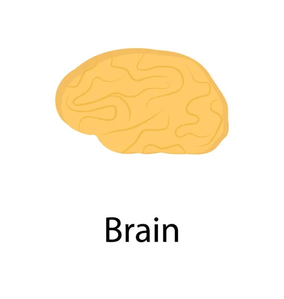 Pictograma Vectorială Plat Creierului — Vector de stoc