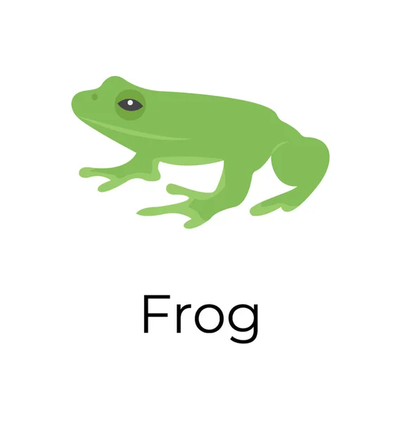 Frog Flat Vector Icon — Stock Vector