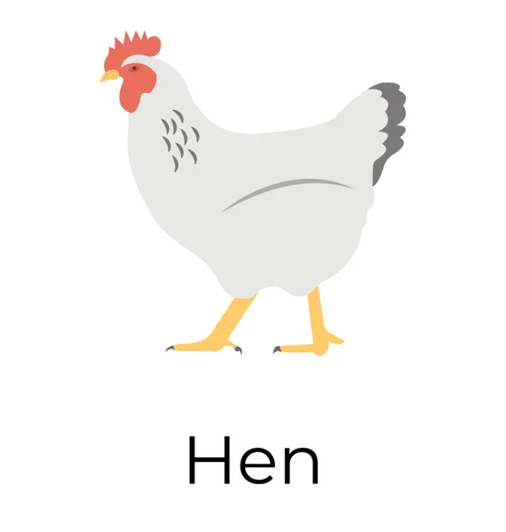 Gallina Icono Vector Plano — Vector de stock