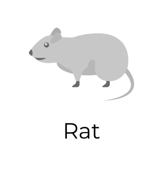 Flache Vektorsymbole Der Ratte — Stockvektor