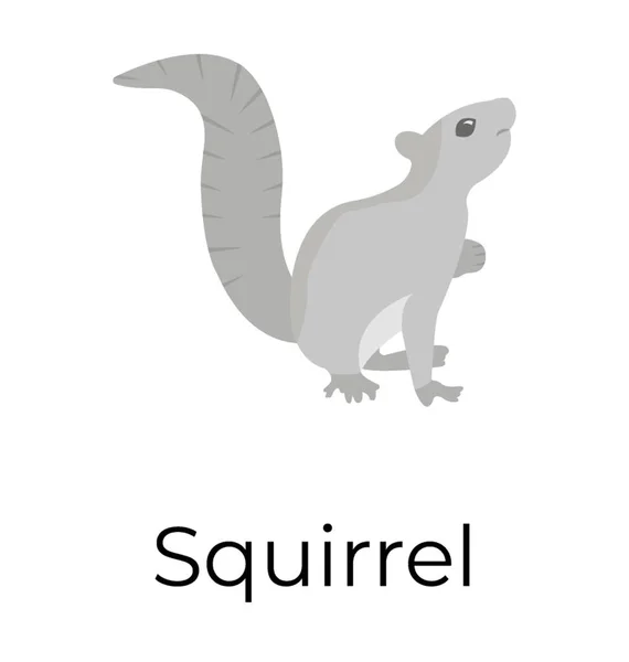 Squirrel Flat Vector Icon — Stock Vector