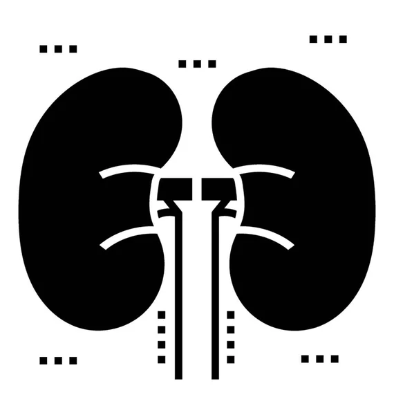 Organe Bohnenform Niere — Stockvektor
