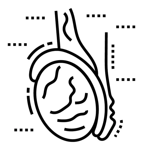Órgano Humano Icono Vector Sólido — Vector de stock