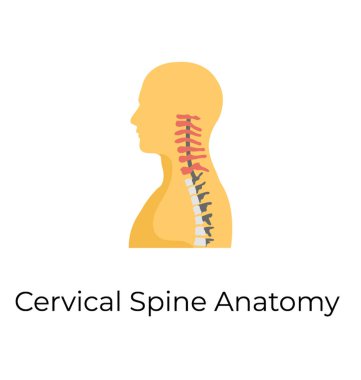 Servikal omurga, düz vektör simgesi