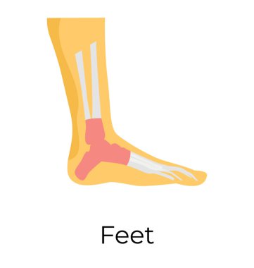 Feet, flat vector icon clipart