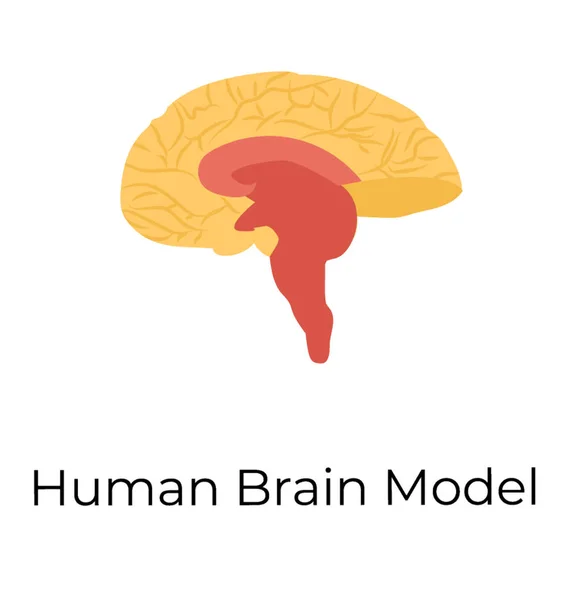 Menschliches Gehirn Großhirn Flache Vektorsymbole — Stockvektor