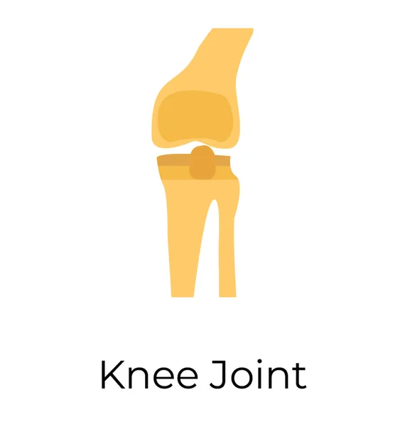 Conception Icône Plate Des Articulations Genou Humain — Image vectorielle