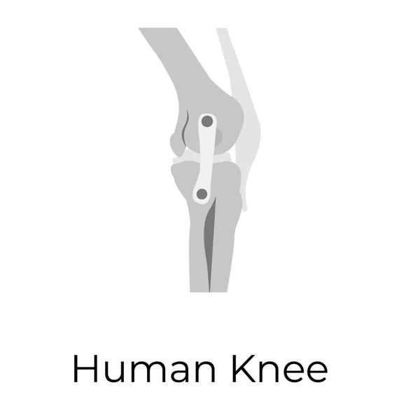 Flat Icon Design Human Knee Joints — Stock Vector