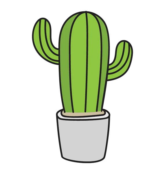 Succulente Installatie Cactus Doodle — Stockvector