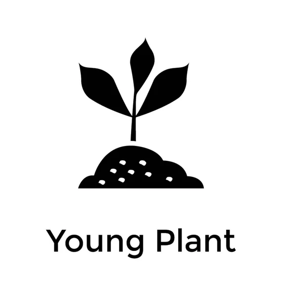 Junge Pflanze Boden Solides Ikonendesign — Stockvektor