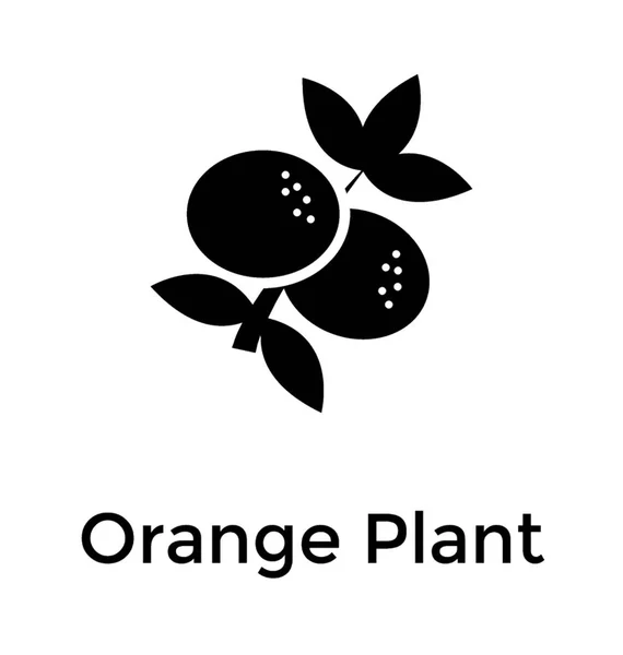 Orangenpflanze Obstgarten Solides Symbol — Stockvektor