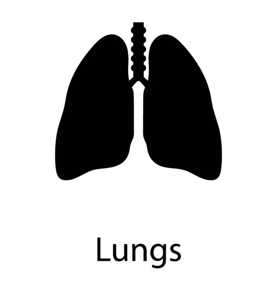 Menschliche Atmungsorgane Lungen — Stockvektor