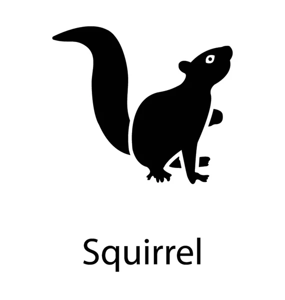 Eichhörnchen Glyphen Vektorsymbol — Stockvektor