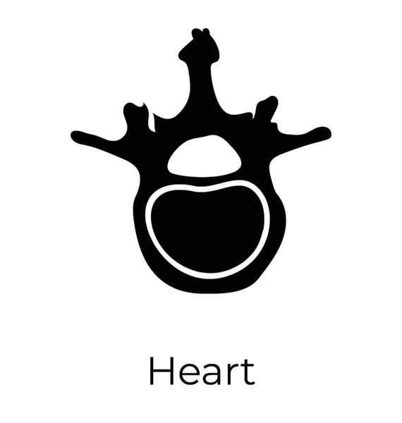 Órgano Humano Muscular Corazón Humano — Vector de stock