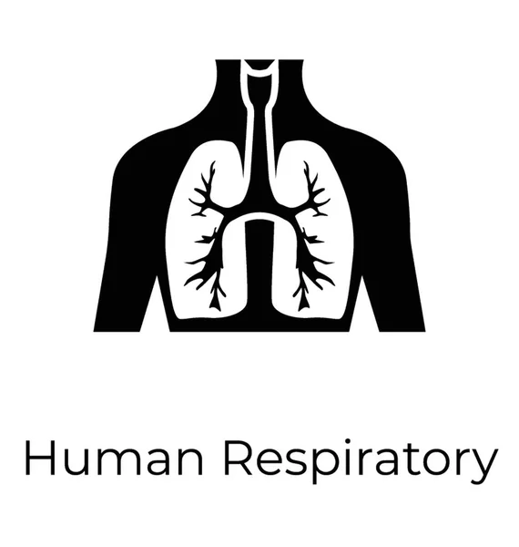 Menneskeligt Åndedrætsorgan Lunger – Stock-vektor