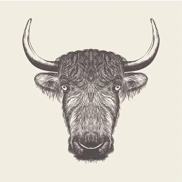 Bison Cabeça Ilustração Desenho Desenhado Mão —  Vetores de Stock