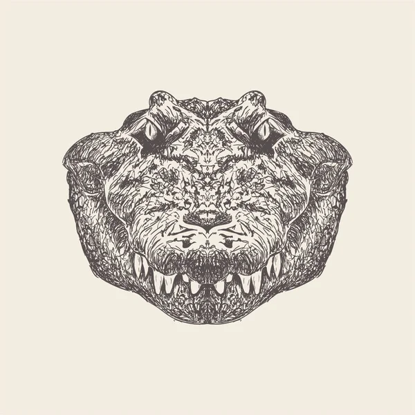 Мальований Вручну Вектор Крокодила Ілюстрація — стоковий вектор