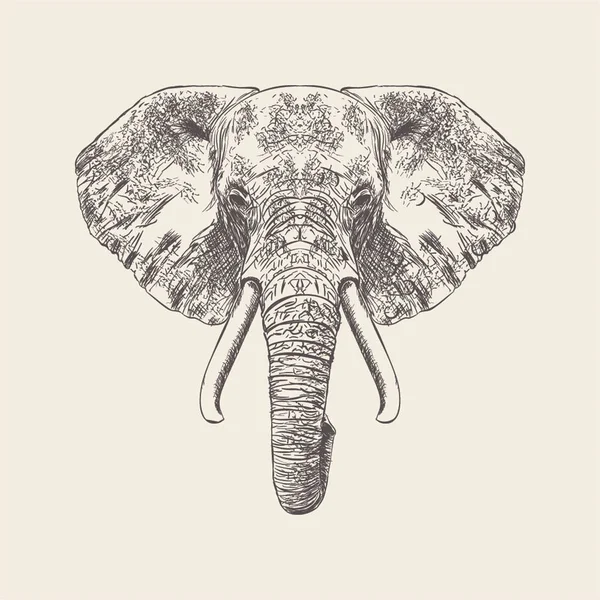Vettore Disegnato Mano Del Viso Dell Elefante Illustrazione — Vettoriale Stock