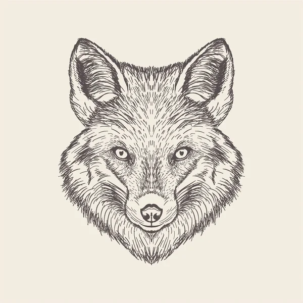 Hand Getekende Vector Van Fox Head Illustratie — Stockvector