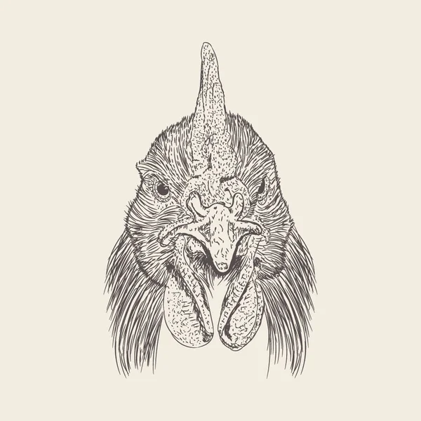 Hen Head Illustration Des Von Hand Gezeichneten Designs — Stockvektor