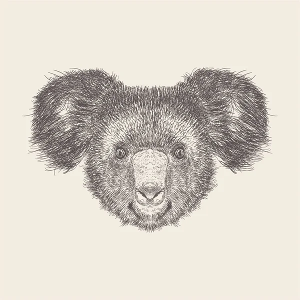 Vetor Ilustração Koala Desenhado Mão — Vetor de Stock