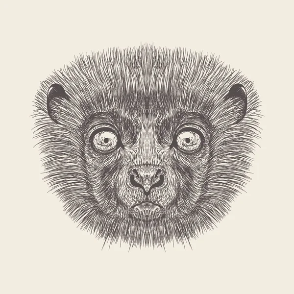 Lemur Madagascar Çizilmiş Tarzında Illustration — Stok Vektör