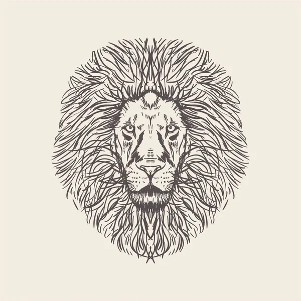 狮子例证的手绘的向量 — 图库矢量图片