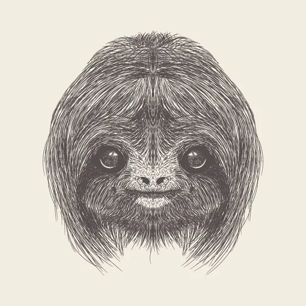 Sloth Illustration Vector Hand Drawn Vector — Stock Vector