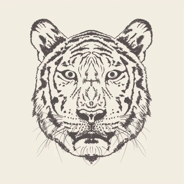 Vector Dibujado Mano Tigre Ilustración — Vector de stock