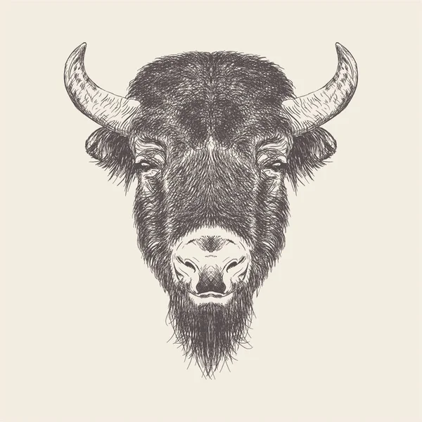 Bull Hoofd Illustratie Vector Hand Getekend Ontwerp — Stockvector