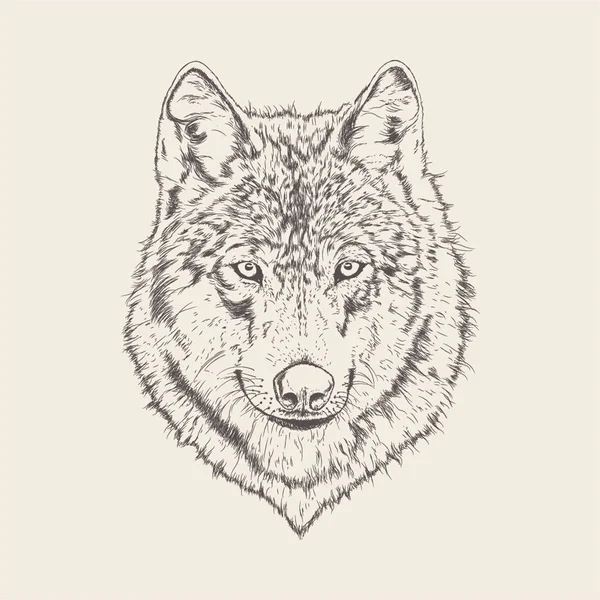 Wolf Ilustración Del Diseño Dibujado Mano — Archivo Imágenes Vectoriales