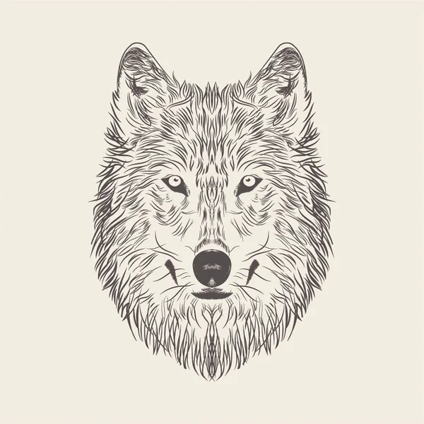 Wolf Illustration Dessin Dessiné Main — Image vectorielle