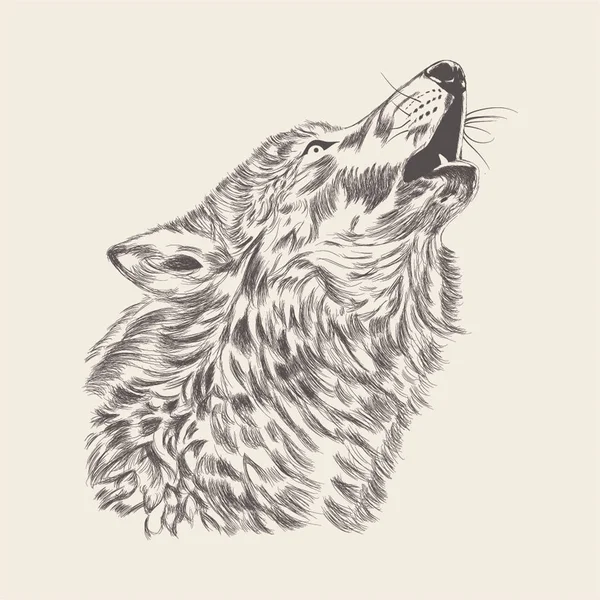 Wolf Ilustração Desenho Desenhado Mão — Vetor de Stock