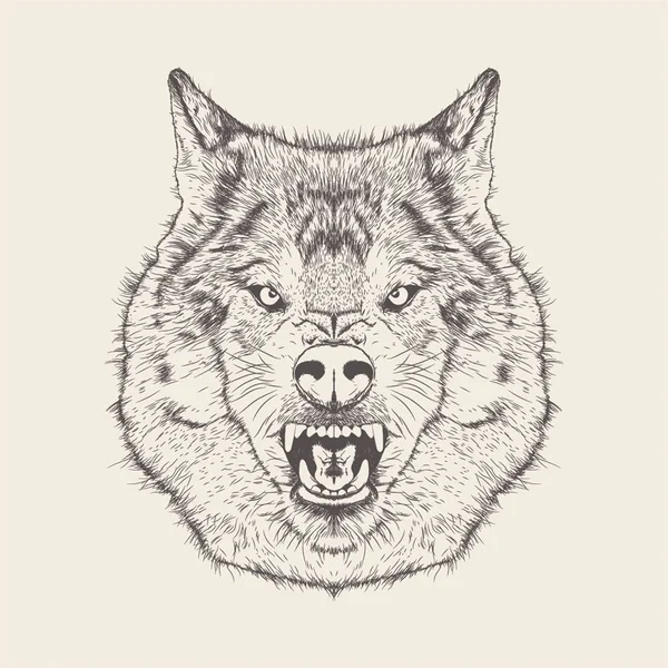 Wolf Ilustración Del Diseño Dibujado Mano — Archivo Imágenes Vectoriales