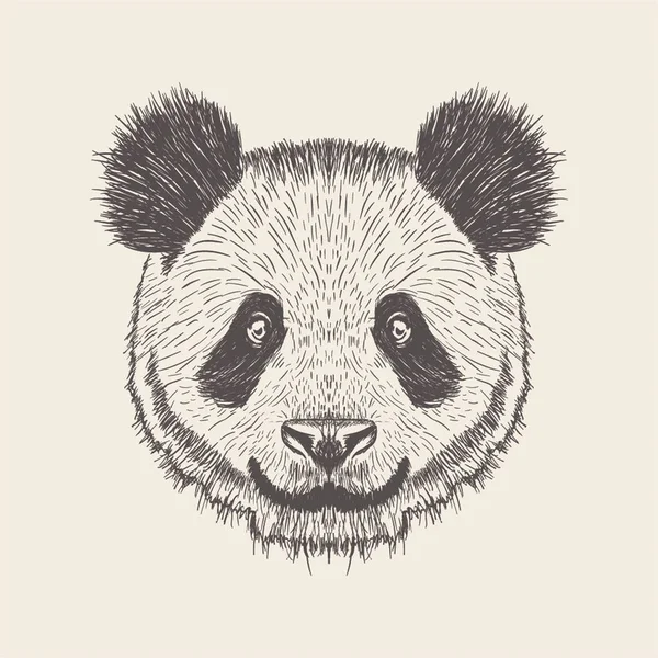 Panda Ilustração Desenho Desenhado Mão — Vetor de Stock