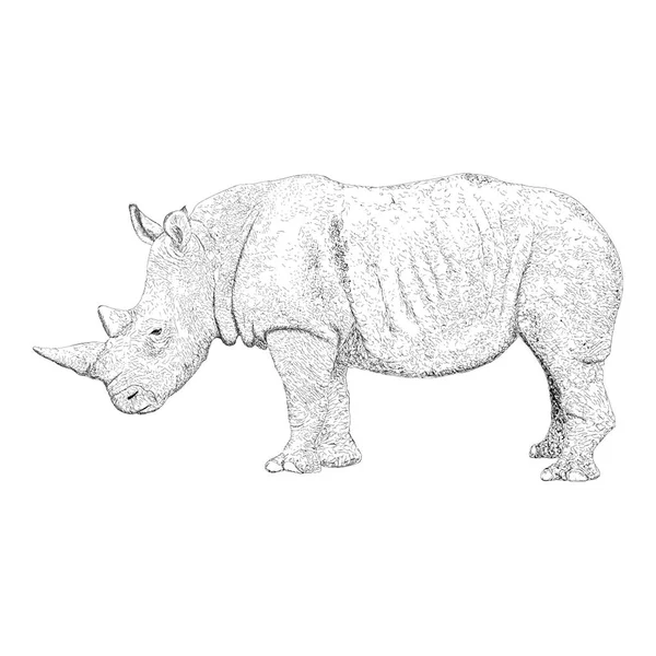 Illustration Rhinocéros Design Solide — Image vectorielle