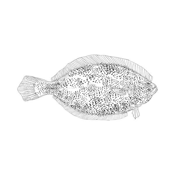 Illustration Poisson Tigre Vecteur Illustration Dessinée Main — Image vectorielle