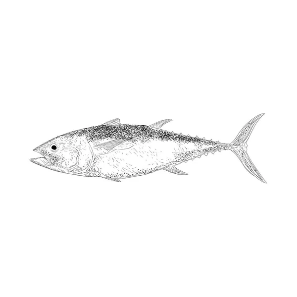 Ilustración Peces Vector Estilo Dibujado Mano — Vector de stock