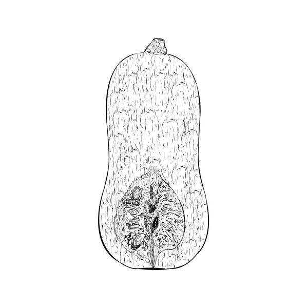 Vetor Ilustração Abóbora Banana — Vetor de Stock