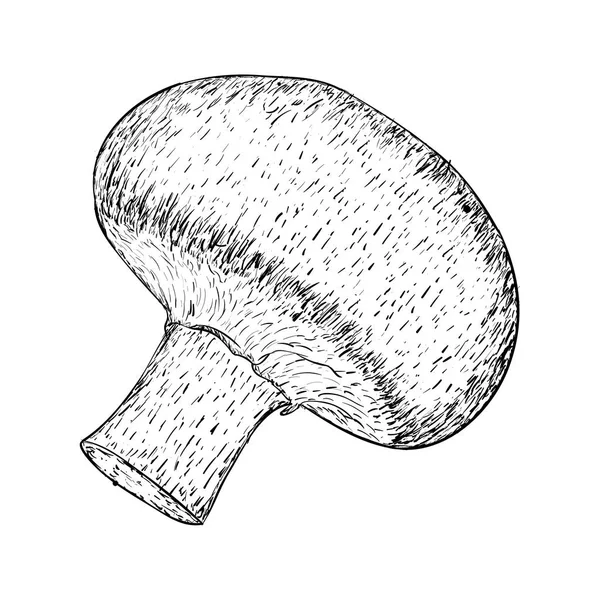 Vecteur Illustration Champignon Style Dessiné Main — Image vectorielle