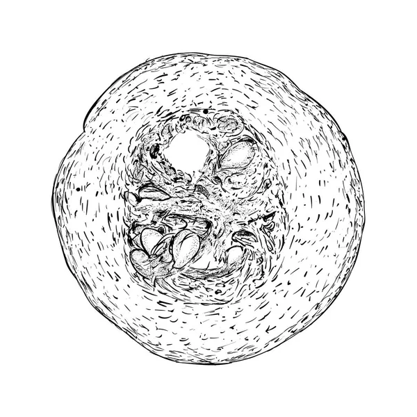 Иллюстрация Тыквы Хэллоуина Вектор Здоровой Пищи — стоковый вектор