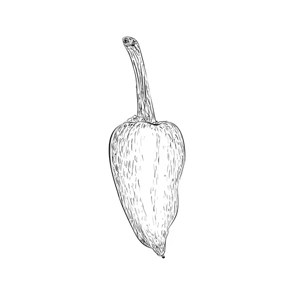 エコペッパーアイコンアウトライン 手描きベクトル 赤い漫画 ストックベクター C Lrsga Hotmail Com