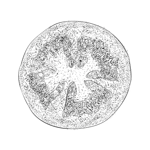 Granátové Jablko Ilustrace Ručně Kreslenou Vektorové — Stockový vektor