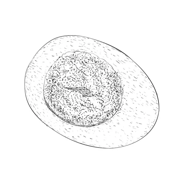 手描き卵イラストベクトル — ストックベクタ